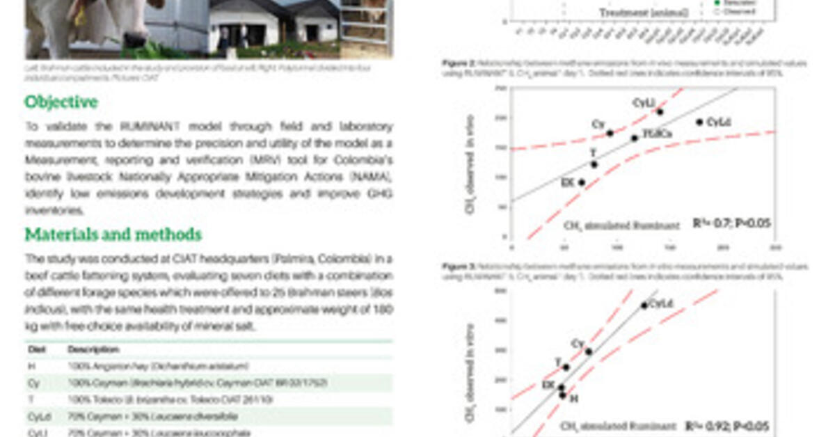 Validation Of The RUMINANT Model Towards Accurate Estimations Of ...